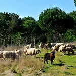 Hotel Doma Portugal 3*