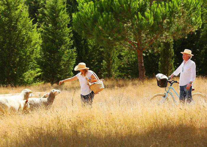 Doma Portugal 3* Mafra