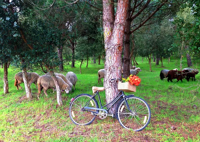 Doma Portugal 3* Mafra